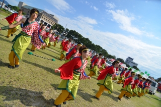 和歌山市の紀州よさこい祭